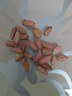 养胃瘪花生新货零食小瘪花生米小粒生小秕子花生干瘪小花生仁生吃 瘪花生米600克 实拍图