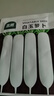 北蔬 白萝卜种子甜脆南北方秋冬季蔬菜种籽 白玉萝卜种子10g约1200粒 实拍图