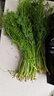 茗君鲜顺丰包邮山东茴香菜新鲜茴香苗现摘头茬荤香嫩叶小茴香饺子馅蔬菜 茴香3斤（顺丰/京东包邮） 实拍图