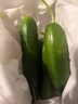 京喜加新鲜无刺水果小黄瓜小青瓜脆甜荷兰脆嫩生吃黄瓜蔬菜 水果黄瓜 1斤 净重 实拍图
