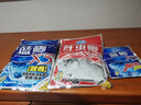 龙王恨鱼饵野战蓝鲫X5青春版腥香饵江河黑坑野钓鲫鲤草鳊鱼通杀钓鱼饵料 红虫鲫X5(300g/1包) 实拍图