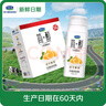 君乐宝（JUNLEBAO）简醇利乐冠0添加蔗糖白芸豆控卡爆珠酸奶200g*10瓶风味酸牛奶礼盒 实拍图