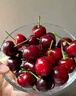 京鲜生 大连美早樱桃 车厘子 2J级 1斤装 单果10g+ 生鲜水果 实拍图