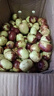 晟容果蔬福建牛奶大青枣脆甜枣贵妃冬枣大枣新鲜水果当季整箱包邮现摘现发 9斤装 【果园直发丨量大更优】净8.5斤 甄选果 【饱满多汁】单果60g+ 实拍图
