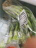 宁夏菜心约250g 实拍图