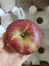 野凰现摘当季云南昭通丑苹果冰糖心苹果水果新鲜脆甜2025新苹果丑苹果 70-75mm中果 10斤净重（彩箱包装） 实拍图
