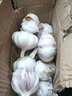 紫皮大蒜2025新干大蒜头年当季整箱新鲜蔬菜头批发红皮 净重1.5斤(果径3.5cm+) 实拍图