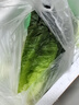 绿食者 沙拉蔬菜组合3.5斤 新鲜苦菊绿叶红叶生菜西餐沙拉健康轻食蔬菜 蔬菜沙拉组合3.5斤【无沙拉酱】 实拍图