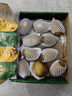 佳沛（zespri）新西兰  阳光金奇异果10粒礼盒巨大果单果约144-175g 水果 猕猴桃 实拍图