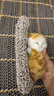 亦趣仿真猫玩偶会叫小猫咪毛绒玩具摆件可爱猫咪公仔儿童生日礼物 会叫橘花猫咪+毛绒垫子 实拍图