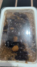 西域美农陕西八宝甑糕260g*3盒  糯米蜜枣特产八宝饭西安特产小吃即食 实拍图