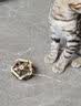 petofstory猫咪磨牙玩具丝瓜络逗猫神器幼小猫洁齿1个装大列巴 实拍图