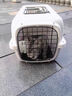 哈巴斯（Habas）便携外出折叠宠物猫国航航空箱猫咪专用车载猫笼子猫箱宠物托运箱 【25斤内宠物】烟灰白-送隔板 重量2.15kg 【升级加厚 耐磨抗压】 实拍图
