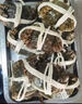 【活蟹】阳澄联合大闸蟹 鲜活六月黄2.8-3.1两 8只螃蟹去绳足重海鲜礼盒装源头直发 实拍图