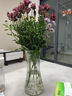 特大号轻奢创意简约玻璃花瓶透明水养鲜花北欧ins风客厅插花摆件 【28高】透明太阳花 实拍图