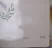 谷雨美白精华面膜组合淡斑瓶5ml奶皮面膜小样体验试用旅行装 实拍图