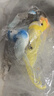 灵宠物语逗猫棒猫玩具自嗨解闷逗猫玩具仿真小鸟自嗨神器猫玩具小鸟5只装 实拍图