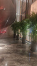 TCL吸顶灯led卧室灯具全屋灯饰阳台餐厅现代简约三防灯24W白光包安装 实拍图
