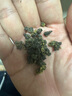 福茗源茶叶 台湾冻顶乌龙茶 浓香特级2025新茶冷泡茶袋装250g茶叶自己喝 实拍图