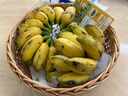 鲜摘小米蕉香蕉新鲜水果多喜啦水果迷你香蕉青皮米蕉粉蕉孕妇水果 净重3斤 实拍图