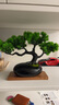 佳第（JUDEET）家里的装饰品摆件仿真迎客松客盆景办公室摆件新中式绿植厅玄关装 黑瓷+迎客松 实拍图