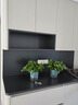 绿萝盆栽室内客厅绿植花卉 家用净化空气绿箩植物吸除甲醛吊兰 高26CM【升级控根吸水】4盆+5肥 实拍图
