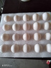保卫蛋蛋新鲜鸽子蛋农家孕妇宝宝杂粮喂养送礼礼盒年货节礼盒送礼 精选大个丨鸽子蛋20枚（400g） 实拍图