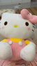 Hello Kitty三丽鸥KT猫毛绒玩偶玩具抱枕女孩娃娃元旦新年礼物女孩生日礼物 实拍图