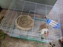 贝尼宠 兔子笼 兔子窝 兔笼子 不含兔子 宠物兔子小兔子 兔子笼50#含水壶脚垫窝垫1-3只 实拍图