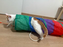 茨格曼猫咪玩具猫隧道自嗨解闷神器小猫钻洞迷宫通道逗猫球幼猫用品 实拍图