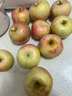 陇百味苹果新鲜现摘 山西运城红富士脆甜 当季应季时令水果整箱产地直发 净重4.5斤单果70mm+ 实拍图