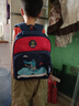艾欣儿 幼儿园书包女小班中大班时尚卡通动漫三3-6岁儿童小学生男女孩超轻减负护脊小背包 酒红色恐龙图案 实拍图