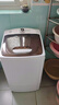 长虹脱水机甩干机小型迷你家用甩干桶单桶宿舍出租房大容量脱水桶 升级款10kg【升级加厚塑桶】+1年质量换新 实拍图