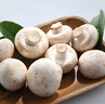 白蘑菇230g 实拍图