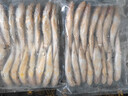 舟山海捕小黄鱼野生细麟小黄鱼新鲜速冻生鲜鱼类火锅食材 1000g（约15-18条/斤） 实拍图