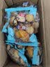 厚乳风味奶香曲奇饼干整箱批发解馋零食早餐小吃办公室休闲零食 奶香曲奇饼干2斤含箱-约400枚 实拍图