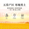 北大荒  2025年新米 五常大米真空装10斤*3 东北大米5kg*3  实拍图