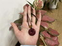 FZOG天然朱砂吊坠平安扣项链男女款紫金砂晶体砂挂件护身符生日礼物 【平安扣小号】适合女生 实拍图