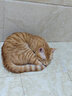 麦富迪猫粮 超肉粒冻干双拼幼猫粮免疫护肠胃 三文鱼2kg 实拍图