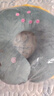 【京东物流】草莓熊u型颈枕迪士尼同款抱枕抱抱龙u型颈枕护颈枕 【经典】抱抱龙 实拍图