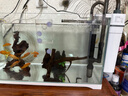 森森（SUNSUN）鱼缸水族箱过滤器壁挂式水泵外置鱼缸过滤桶鱼缸净水抽水泵 XBL-600更大号-80CM内缸 用 定制 实拍图