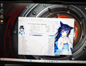 机械革命【国家补贴20%】蛟龙16Pro 潮玩版 16英寸游戏电竞笔记本电脑(R9-9955HX 32G 1T RTX5060 300Hz白) 实拍图
