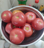 水果番茄西红柿自然成熟沙瓤皮薄新鲜蔬菜生鲜瘦身减脂可生吃 大果，净重 3斤 单果＞100g 实拍图