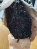 湘丰茶叶 安化黑茶湖南安化黑茶7年陈手工金花茯砖茶手筑茯茶盒装1kg 【丰满楼天尖金茯】9年陈900g 实拍图