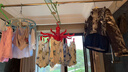 妙洁加大型超细纤维抹布  40*40cm4片装 洗车毛巾吸水神器 擦汽车专用 实拍图