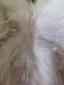 狗狗皮肤病专用狗癣真菌感染金毛拉布拉多法斗皮瘙痒掉毛外用喷剂 买2送1【大面积皮肤病】99%选择 实拍图