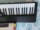 特伦斯（Terence）智能电子琴成人儿童初学者61键TS03电钢琴入门钢琴键盘 典雅黑+琴包+琴架 实拍图