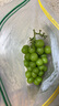 甜萌果蔬晴王阳光玫瑰葡萄【JD顺丰/多地次日达】香印青提子新鲜水果礼盒 5斤装【80%选择|超值推荐】净4.5斤 铂金级｜单果8g-12g【尝鲜优果】 实拍图