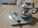 小熊（Bear）煮茶器煮茶壶 0.8L蒸汽喷淋式蒸茶壶养生壶电水壶热水壶304不锈钢烧水壶茶具黑茶ZCQ-A08E1 实拍图