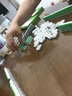 紫湖麻将牌袖珍手搓24mm迷你旅行麻将套装便携小宿舍麻将144张带牌尺 实拍图